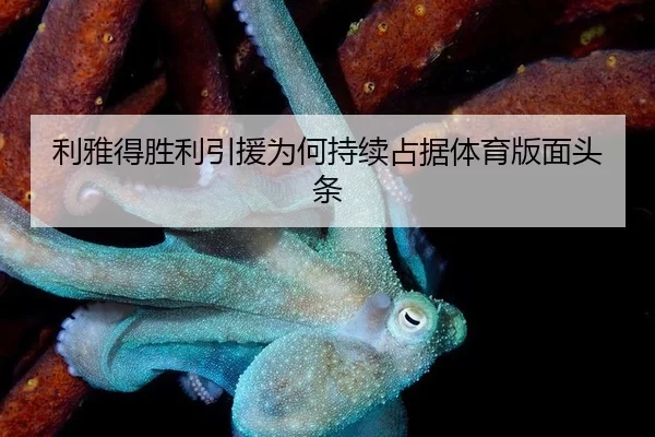 利雅得胜利引援为何持续占据体育版面头条