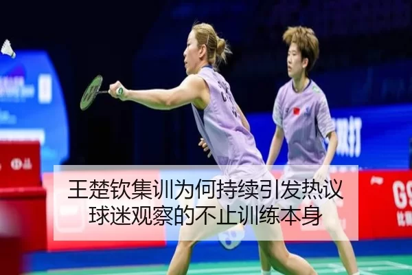 王楚钦集训为何持续引发热议 球迷观察的不止训练本身